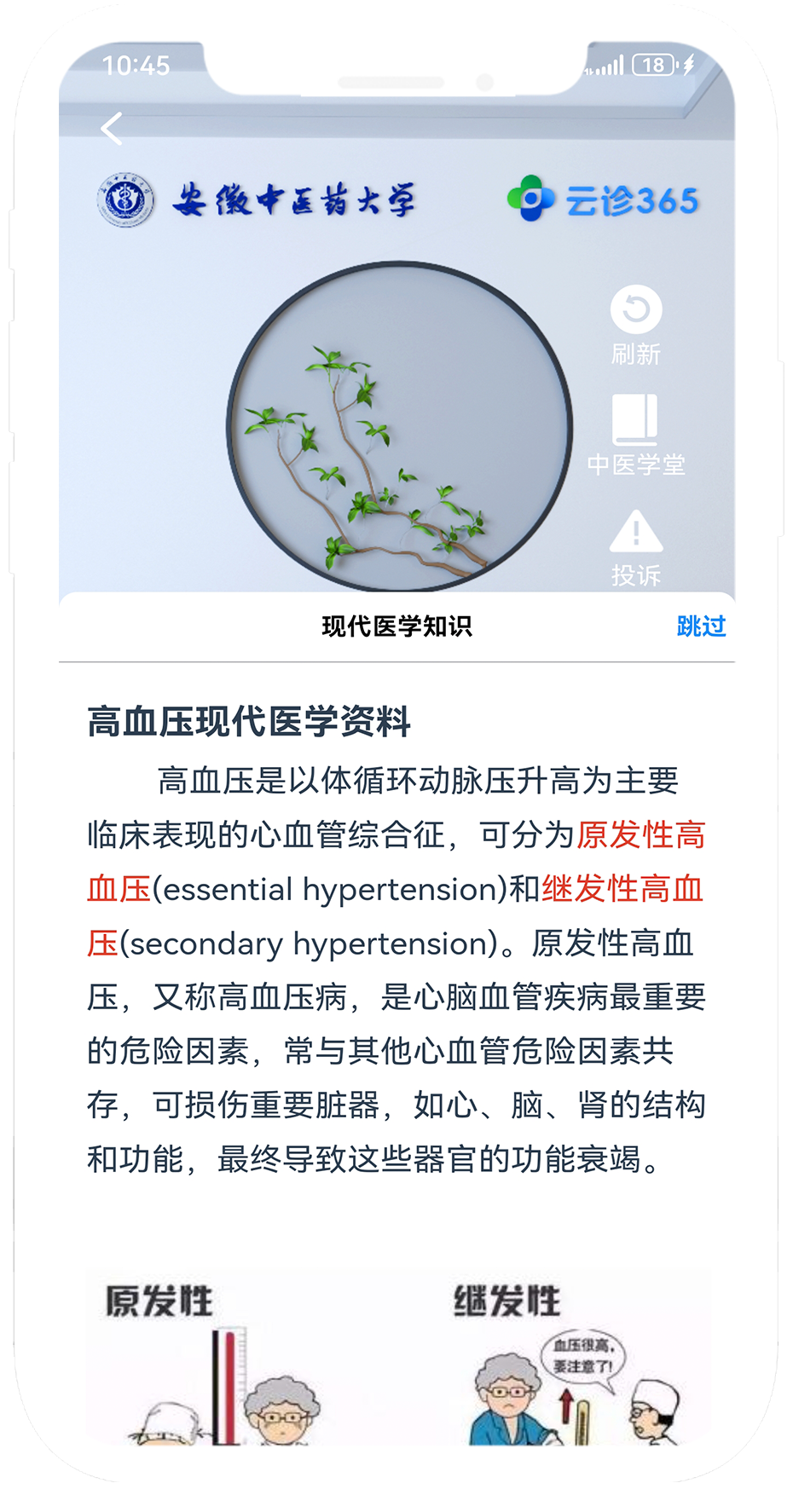 高血压中医分型与调理1.png